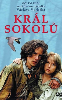 Poster Král sokolu