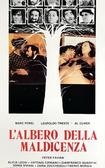 Poster L'albero della maldicenza