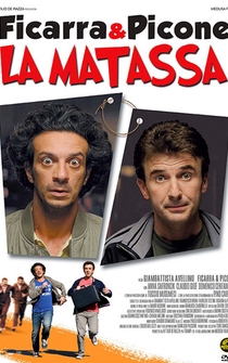 Poster La matassa