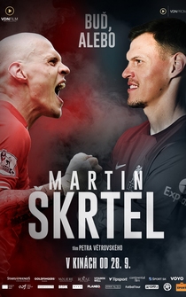 Poster Martin Skrtel #37