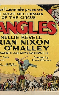 Poster Spangles