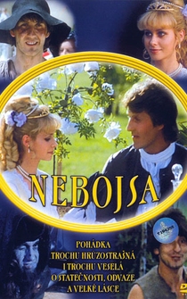 Poster Nebojsa