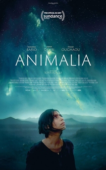 Poster Animalia