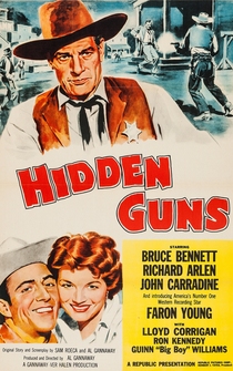 Poster Hidden Guns