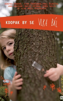 Poster Kdopak by se vlka bál