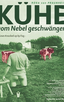 Poster Kühe vom Nebel geschwängert