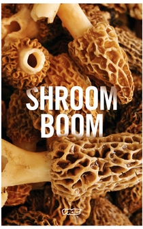 Poster Shroom Boom