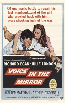 Poster Voice in the Mirror