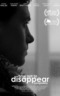 Poster How Not to Disappear Completely