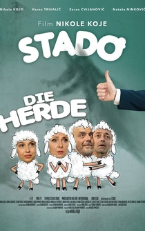 Poster Stado