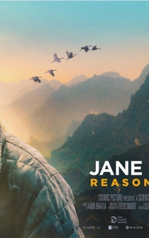 Poster Jane Goodall: Reasons for Hope