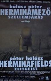 Poster Herminamezö - Szellemjárás