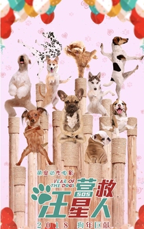 Poster Year of the Dog