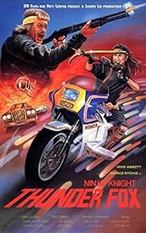 Poster Ninja Knight Thunder Fox