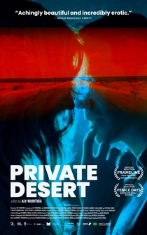 Poster Desierto particular