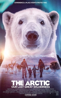 Poster The Arctic: Our Last Great Wilderness