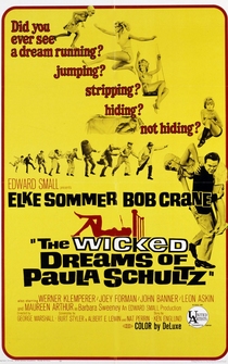 Poster The Wicked Dreams of Paula Schultz