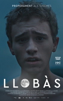 Poster Llobàs