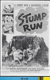 Poster Stump Run