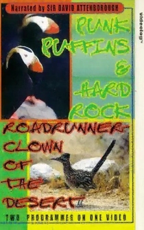 Poster Roadrunner