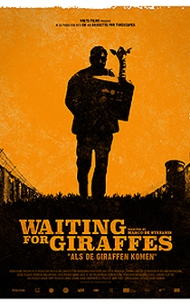 Poster Waiting for Giraffes