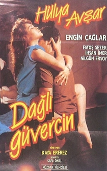 Poster Dagli Güvercin