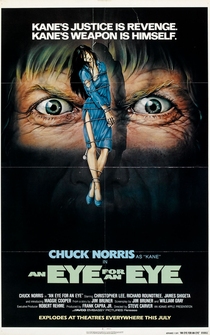 Poster de Mr. Karate, el destructor