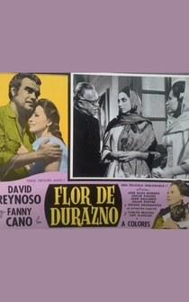 Poster Flor de durazno