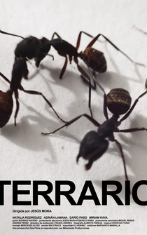 Poster Terrario