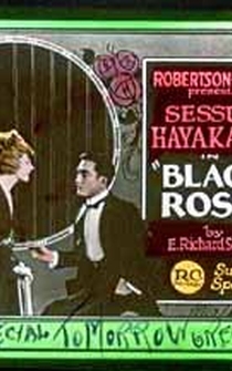 Poster Black Roses