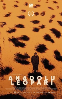 Poster Anadolu Leopari