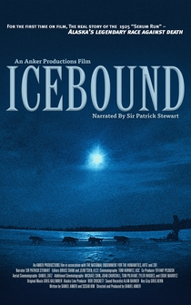 Poster Icebound