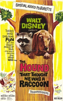 Poster The Hound That Thought He Was a Raccoon