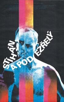 Poster Stíhán a podezrelý