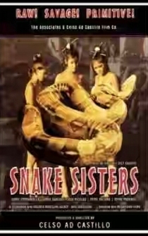 Poster Snake Sisters