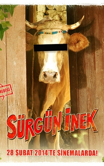 Poster Sürgün Inek