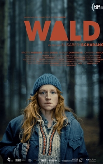 Poster Wald