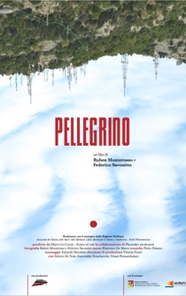 Poster Pellegrino