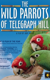 Poster The Wild Parrots of Telegraph Hill