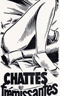 Poster Chattes frémissantes