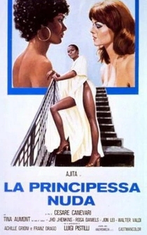 Poster La princesa negra