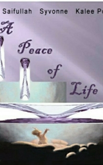 Poster A Peace of Life