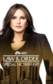 Poster de La ley y el orden: Unidad de Víctimas Especiales