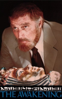 Poster de La maldición