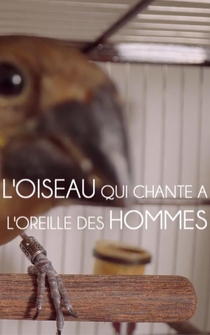 Poster L'oiseau qui chante à l'oreille des hommes