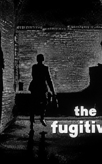 Poster de El fugitivo