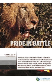 Poster Pride in Battle