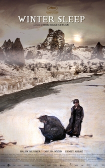 Poster de Sueño de invierno