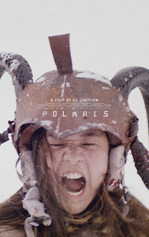 Poster Polaris