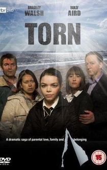 Poster El recuerdo de Alice